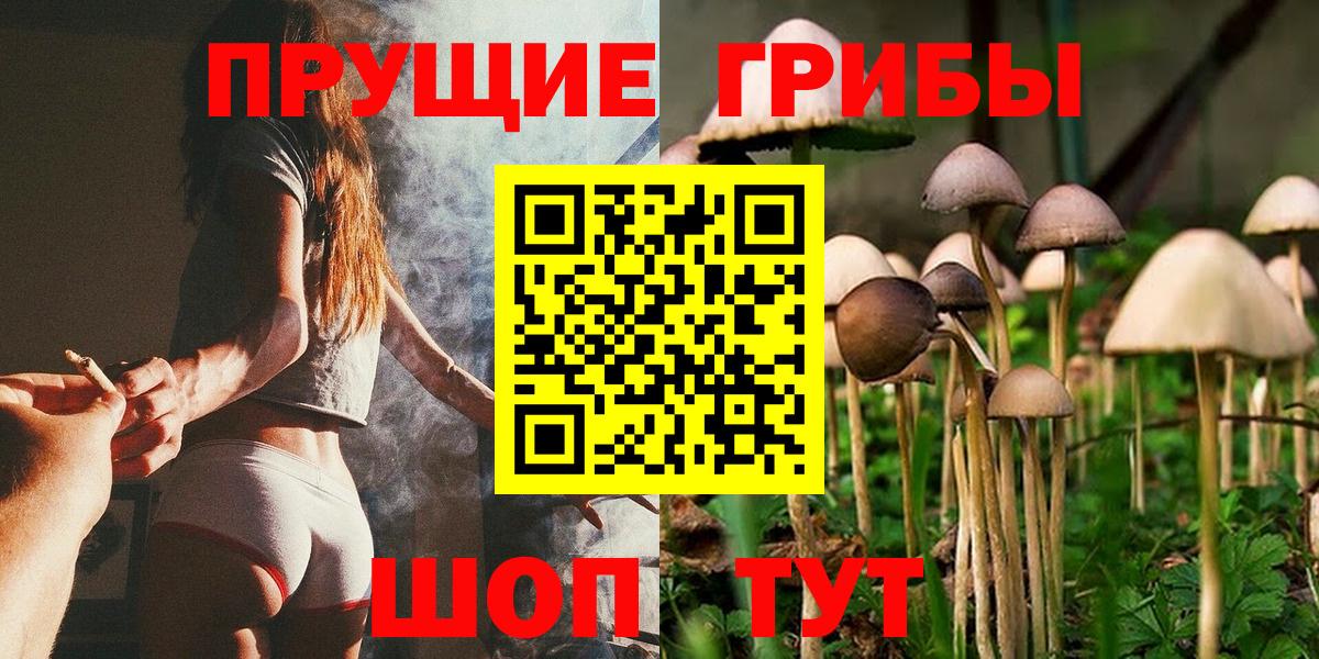 Псилоцибиновые грибы мухоморы  Вход с VPN  Видное  Псилоцибиновые грибы мухоморы 